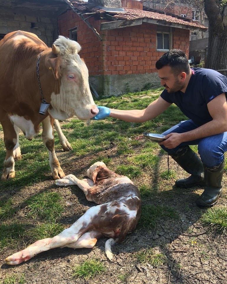 TÜRKVET VETERİNERLİK