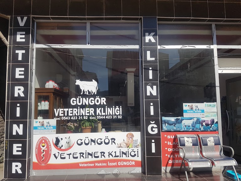 Güngör Veteriner Kliniği