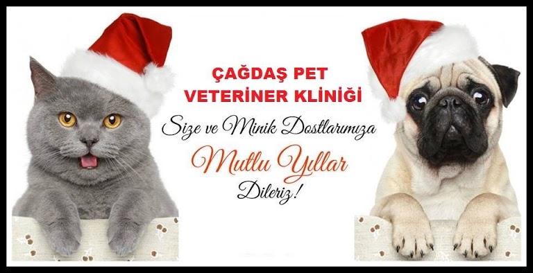 BARTIN ÇAĞDAŞ PET VETERİNER KLİNİĞİ