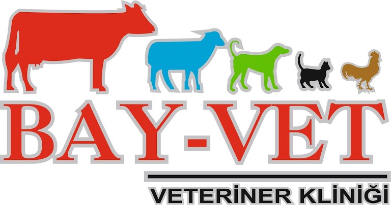 BAY-VET VETERİNER KLİNİĞİ