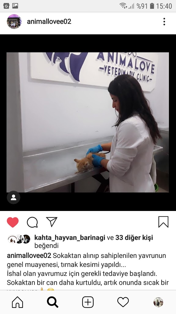 Kahta Animalove Veteriner Kliniği