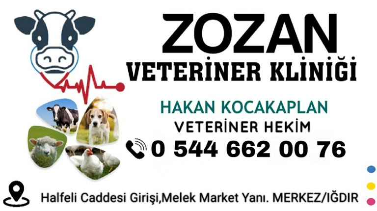 Zozan Veteriner Kliniği