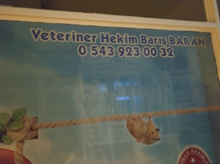 32 Veteriner Kliniği