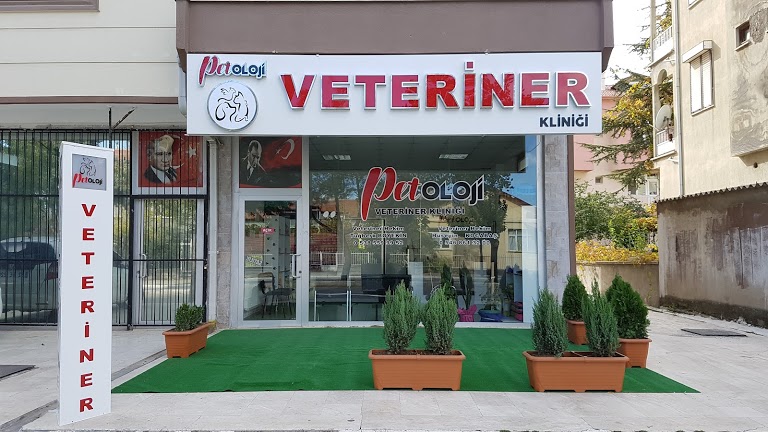 Petoloji Veteriner Kliniği