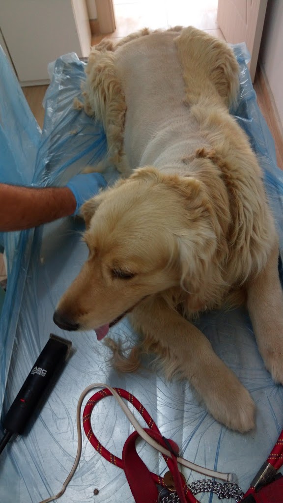 Yaşam Veteriner Kliniği