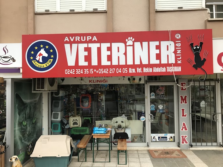 Avrupa Veteriner Kliniği