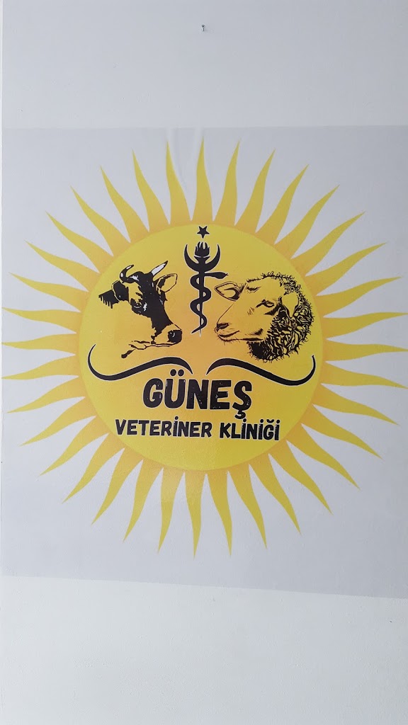 Güneş Veteriner Kliniği