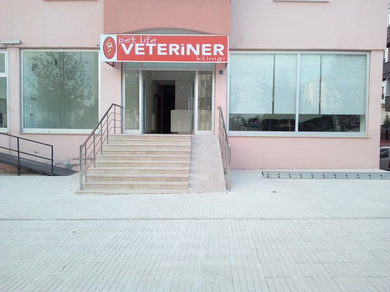 Çorum Petlife Veteriner Kliniği