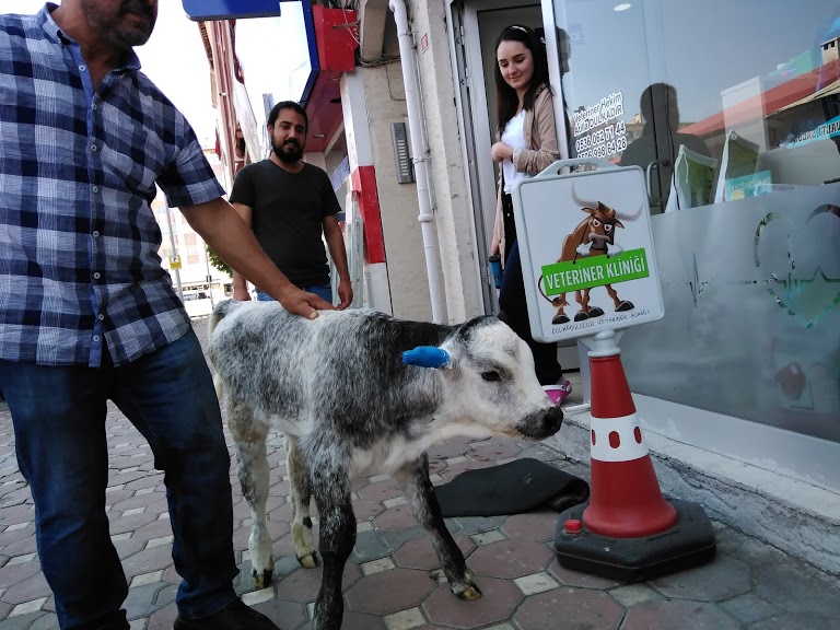 Dulkadiroğlu Veteriner Kliniği