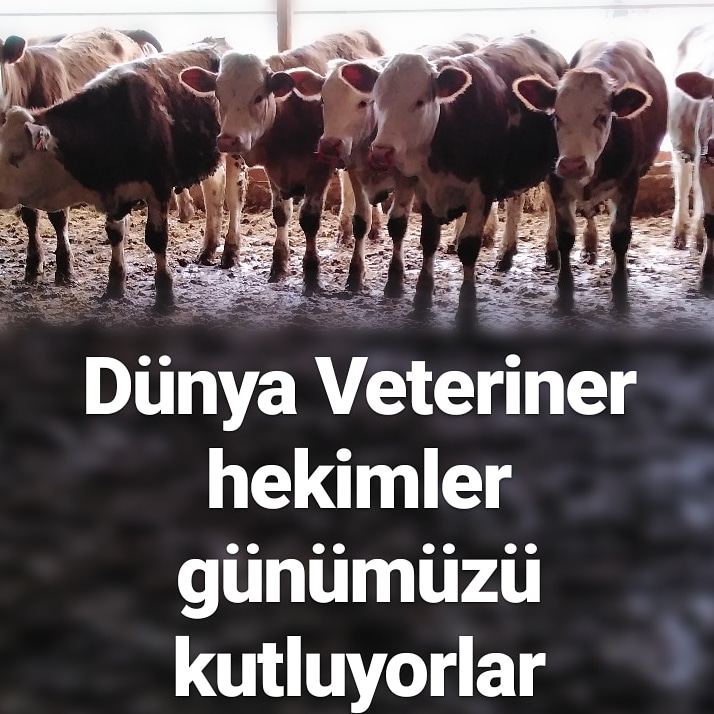 Dulkadiroğlu Veteriner Kliniği