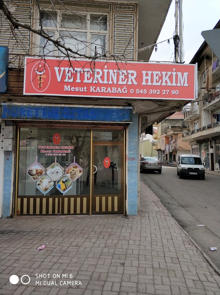 VETERİNER HEKİM MESUT Veteriner Kliniği