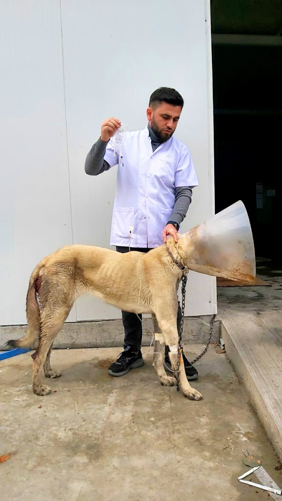 Düzce Park Veteriner Kliniği