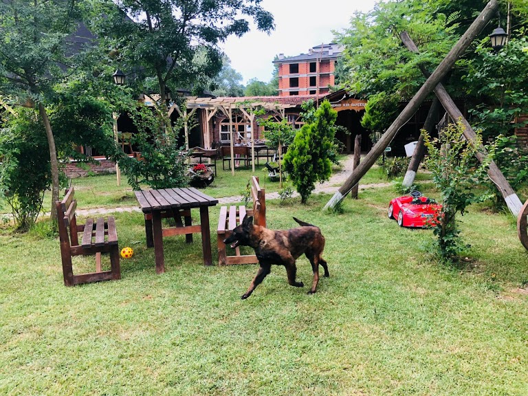 Düzce Park Veteriner Kliniği