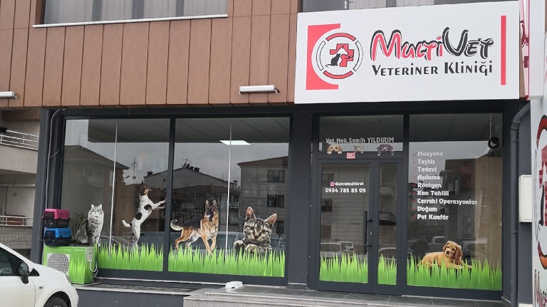 Düzce MultiVet Veteriner Kliniği