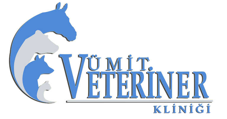 ÜMİT VETERİNER KLİNİĞİ Bayat Veteriner Kliniği