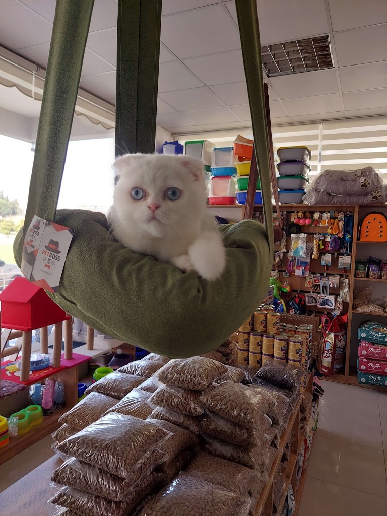 SILA Veteriner Kliniği