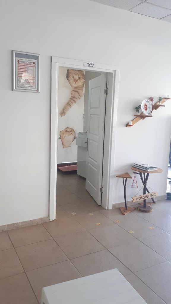 Pativet Veteriner Kliniği