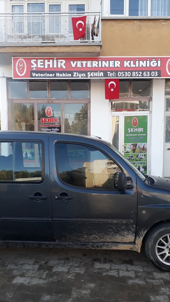 Şehir veteriner kliniği