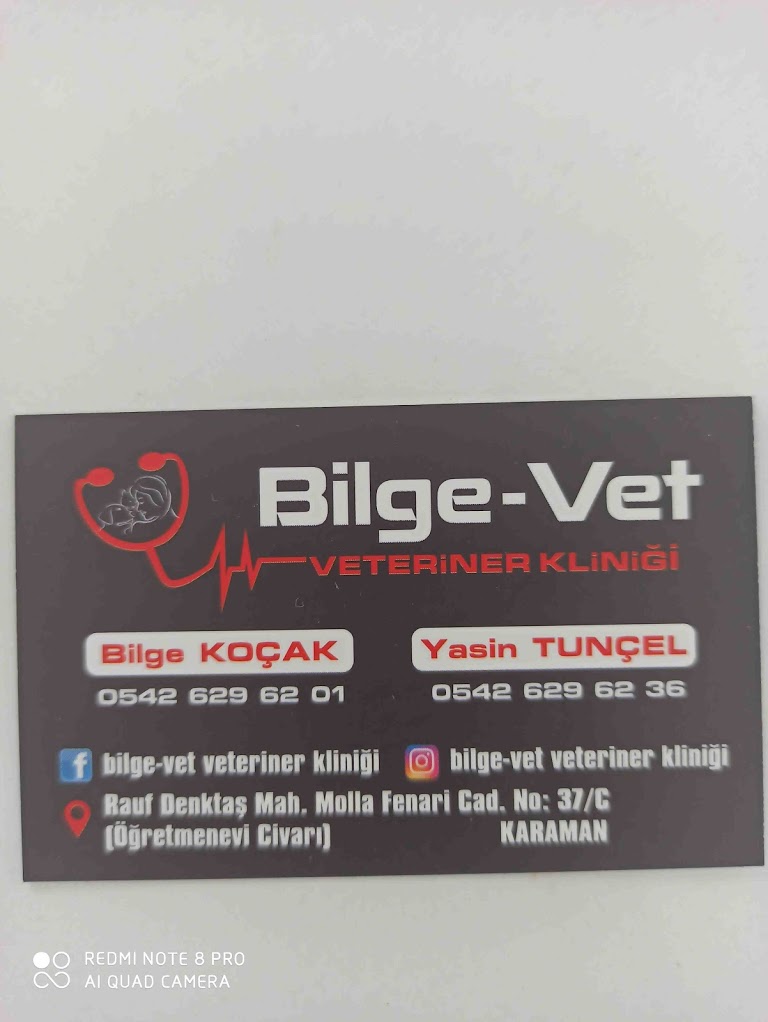 Bilge-Vet Veteriner Kliniği