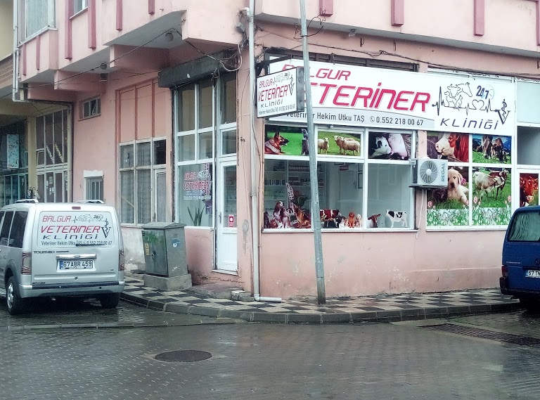 BALGUR Veteriner Kliniği