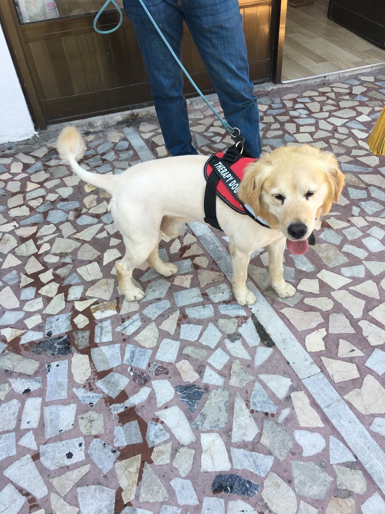 BAR-DEM Veteriner Kliniği