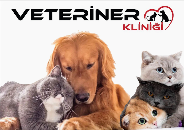 KOZLU Deva Veteriner Kliniği