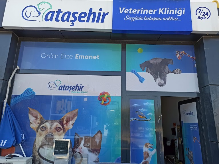 Atasehir Veteriner Kliniği- Veteriner Hekim Ahmet Veteriner Kliniği