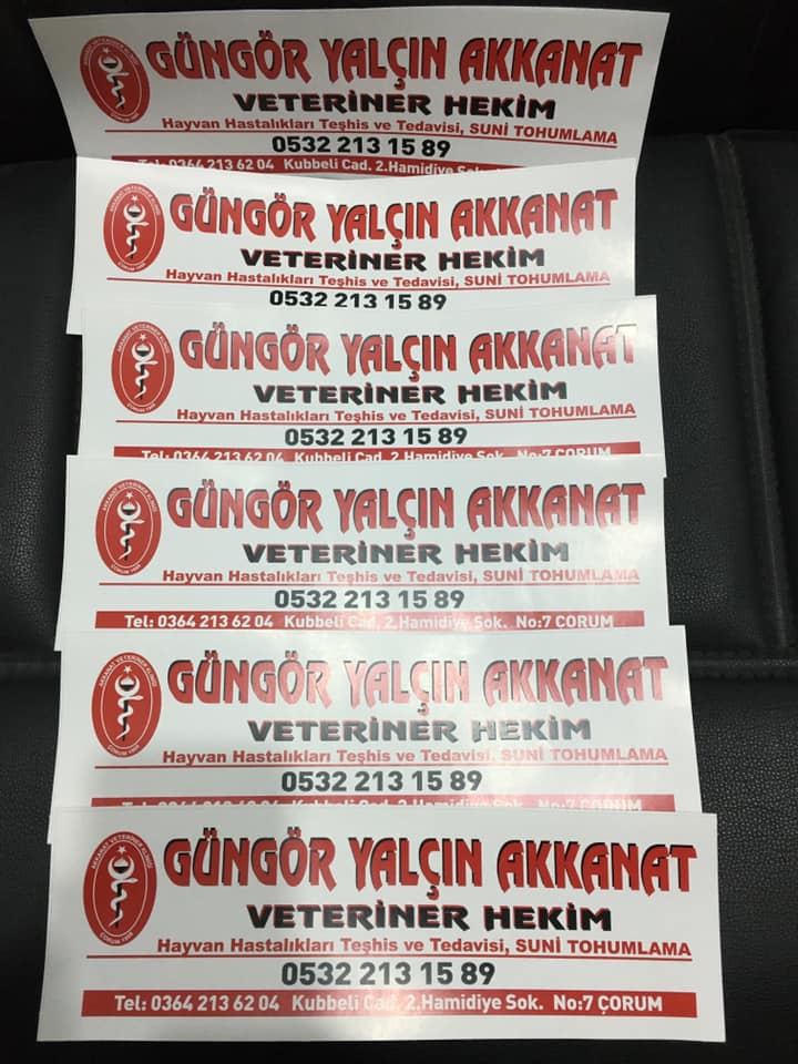 AKKANAT Veteriner Kliniği