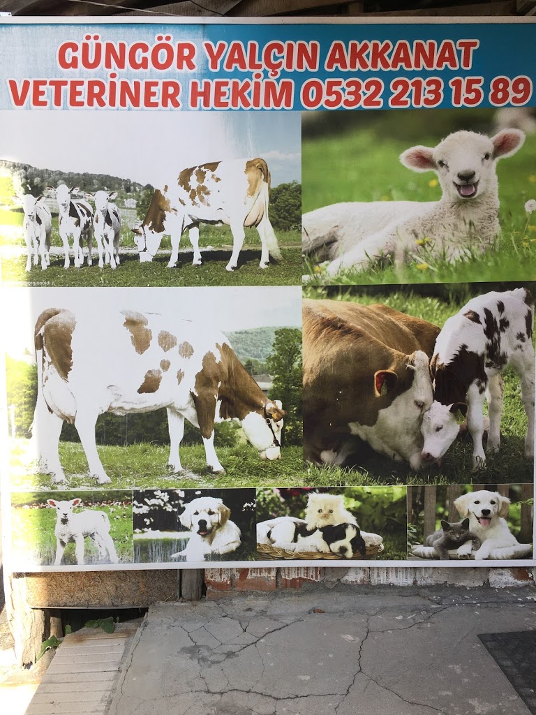 AKKANAT Veteriner Kliniği