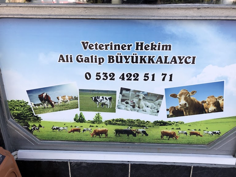 Gözde Veteriner Kliniği