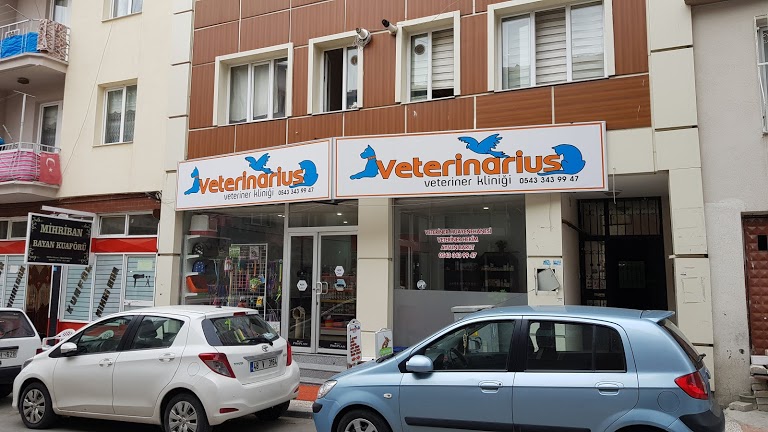 Veterinarius Veteriner Kliniği