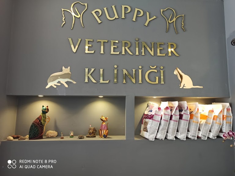 Puppy Veteriner Kliniği Nebahat Veteriner Kliniği