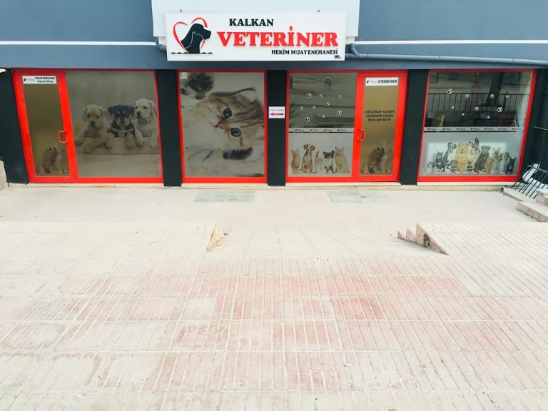 KALKAN VETERİNER HEKİM MUAYENEHANESİ Veteriner Kliniği