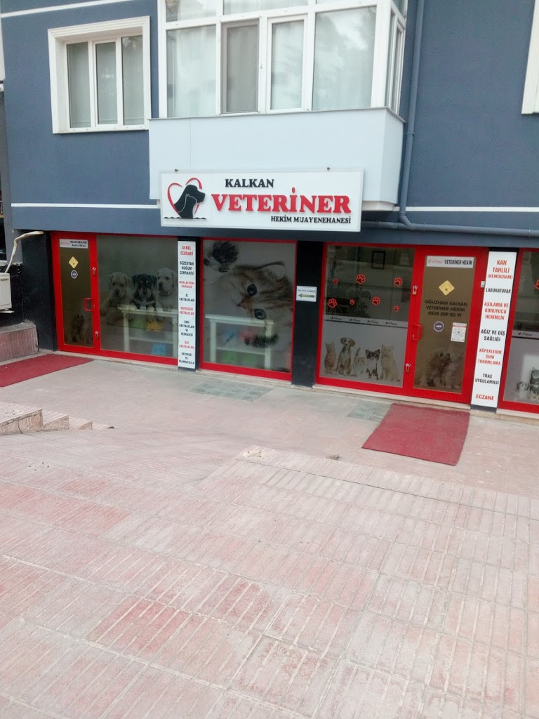 KALKAN VETERİNER HEKİM MUAYENEHANESİ Veteriner Kliniği