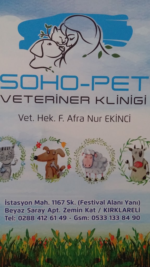 Soho-pet Veteriner Kliniği