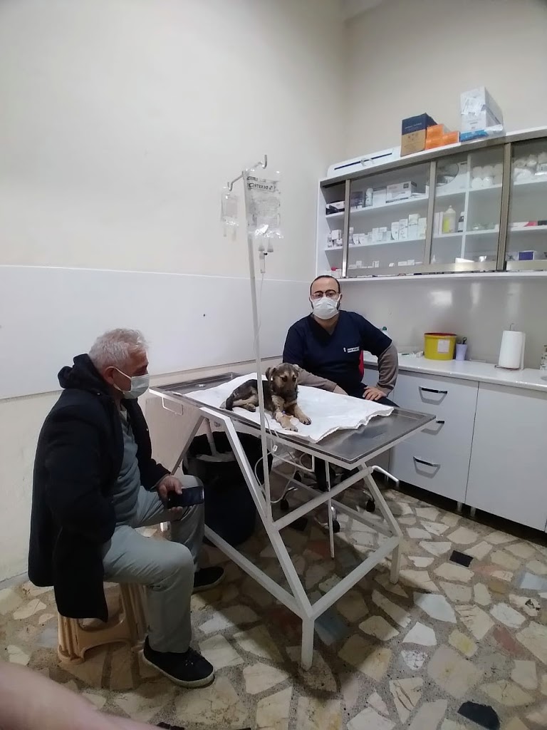 Akçakoca Veteriner Kliniği