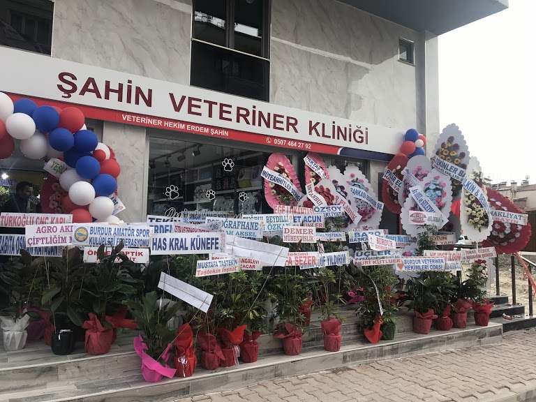 ŞAHİN VETERİNER KLİNİĞİ ERDEM Veteriner Kliniği