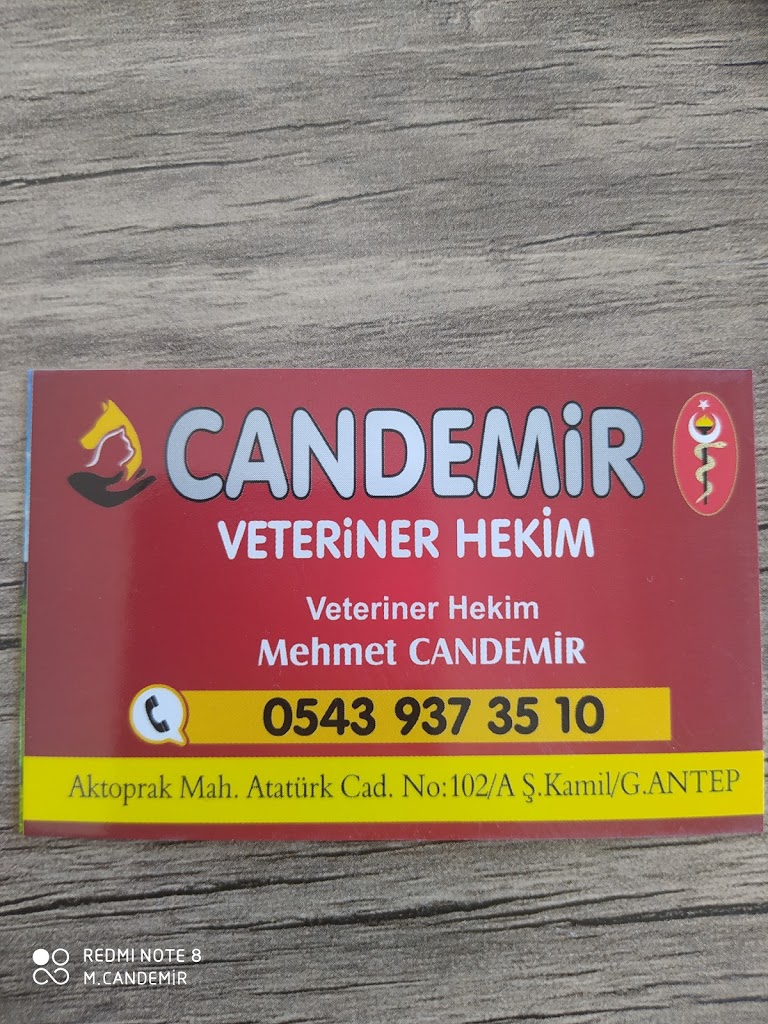 Mehmet Veteriner Kliniği