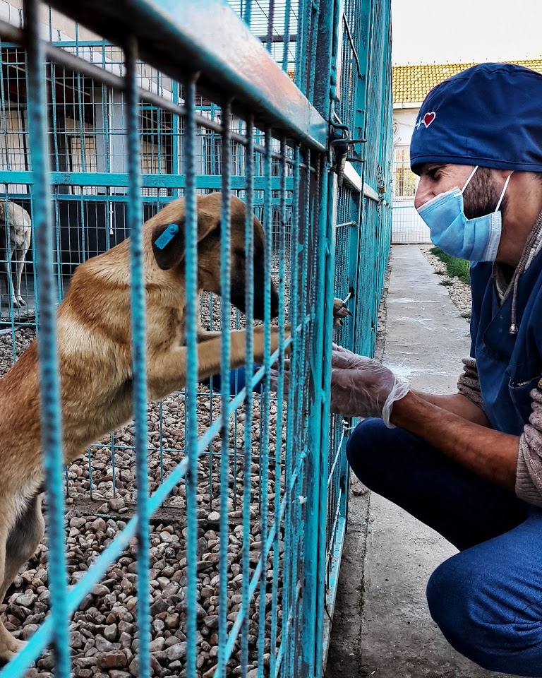 TRAKYA BÖLGE Veteriner Kliniği