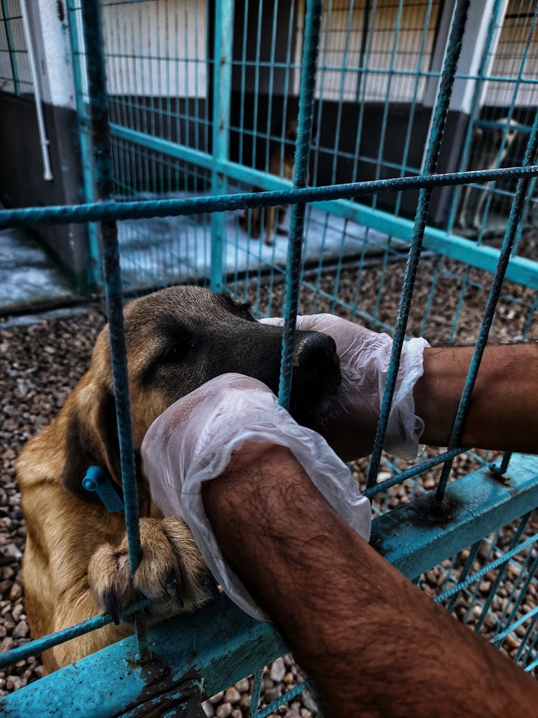 TRAKYA BÖLGE Veteriner Kliniği