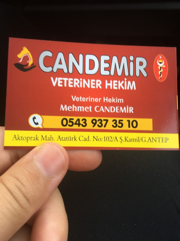 Candemir veteriner kliniği