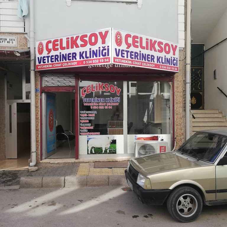 Çeliksoy veteriner kliniği