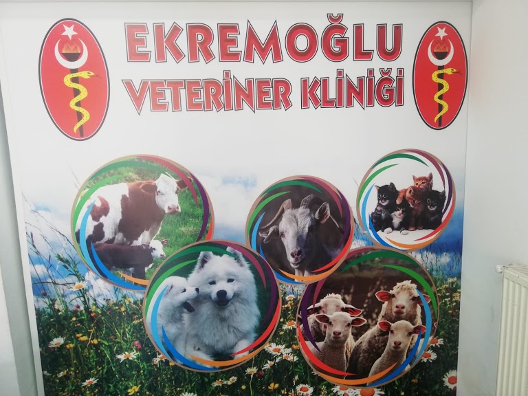 EKREMOĞLU Veteriner Kliniği