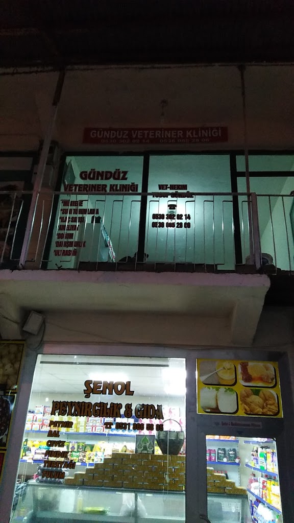 Gündüz veteriner kliniği