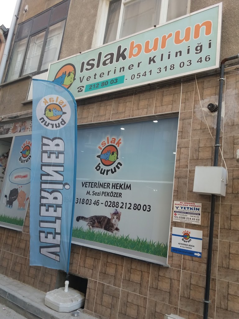 Islakburun Veteriner Kliniği