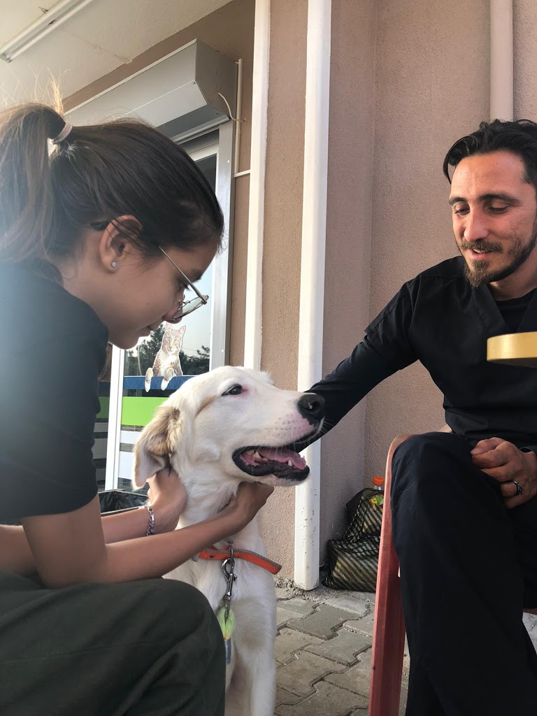 Peti veteriner kliniği