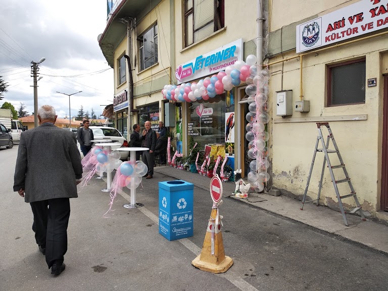 Ahde Vefa veteriner kliniği