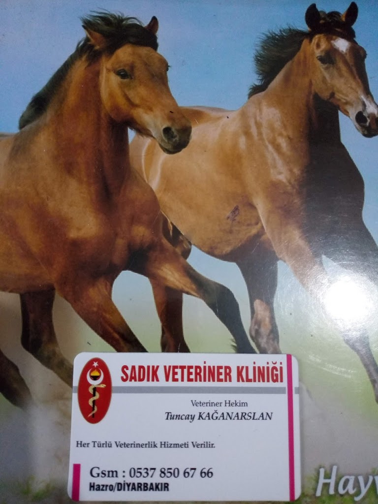 Sadık veteriner kliniği