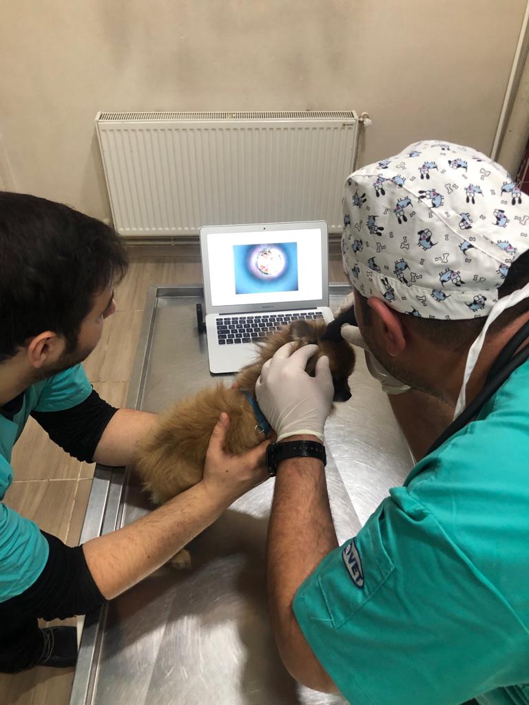 Tamara Pet Veteriner Kliniği