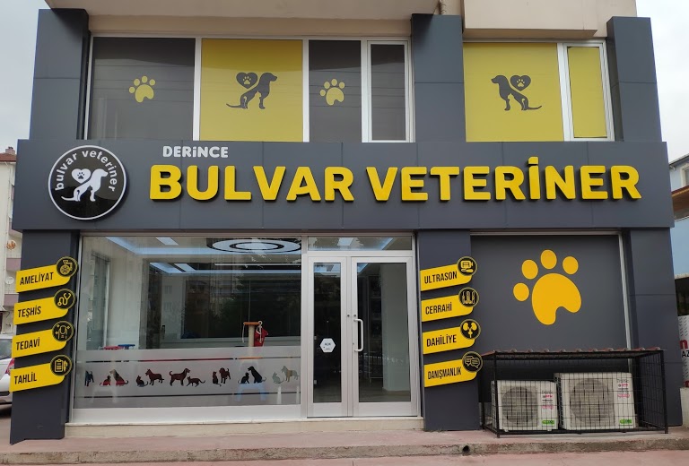 Derince Bulvar Veteriner Kliniği